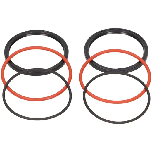 oil seal kit Polini Speed ??Drive for Piaggio, Minarelli 242.031