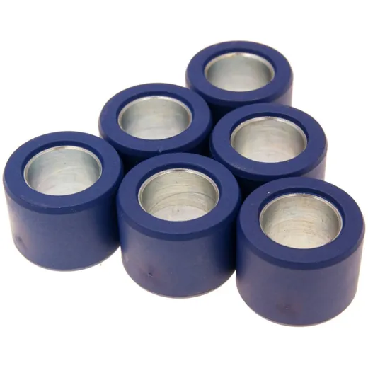 Variomatikgewichte Polini 24x18mm - 22,5g 242.190