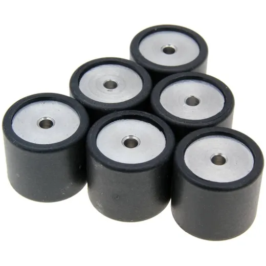 Variorollen Variomatikgewichte Polini 19x17mm - 13,5g 242.379