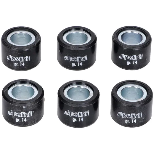 Variomatikgewichte Polini 20x14,95mm - 13,8g 242.433