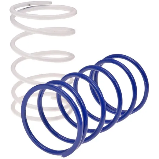 torque / variator adjuster spring set Polini Evolution (2 pcs) -30%, -8% for Piaggio 243.043 torque / variator adjuster spring set Polini Evolution (2 pcs) -30%, -8% for Piaggio 243.043