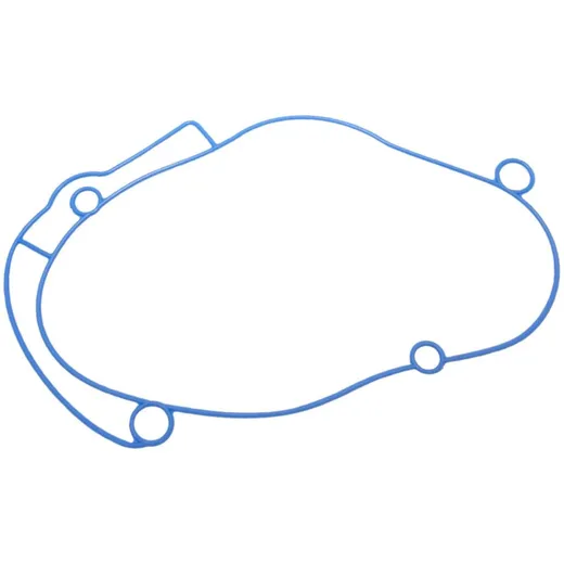 seal gear cover Polini Evolution Gear Box for Piaggio 255.0002