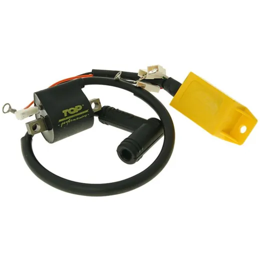 CDI unit with ignition coil Top Performances for Piaggio, Gilera, Italjet 25757 CDI unit with ignition coil Top Performances for Piaggio, Gilera, Italjet 25757