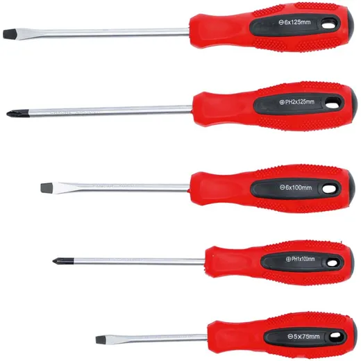 Schraubendreher Set 5-teilig 55017_1