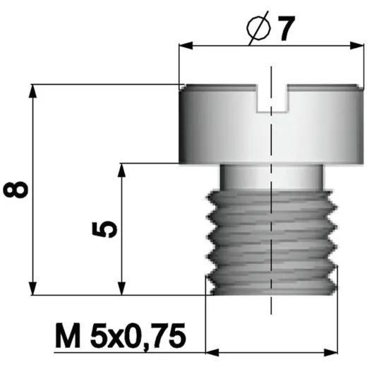 Vergaser Hauptdüse Polini 5mm für Dellorto Vergaser - 80 360.1080