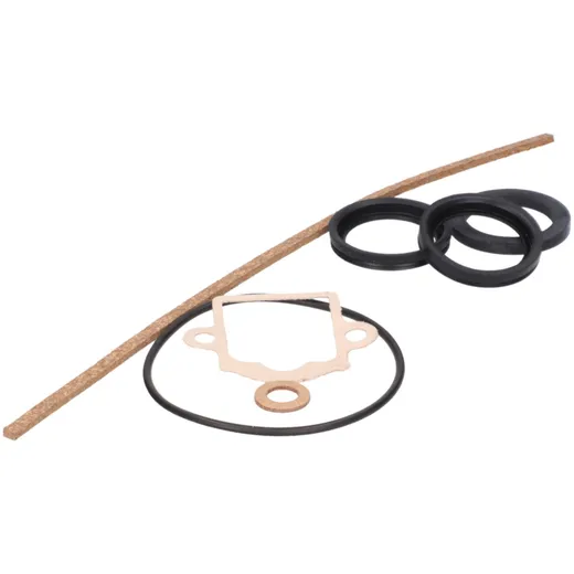 Dichtsatz Vergaser Dichtungssatz Dellorto für SHA 14/15 L/N/P/R/G Vergaser 38659