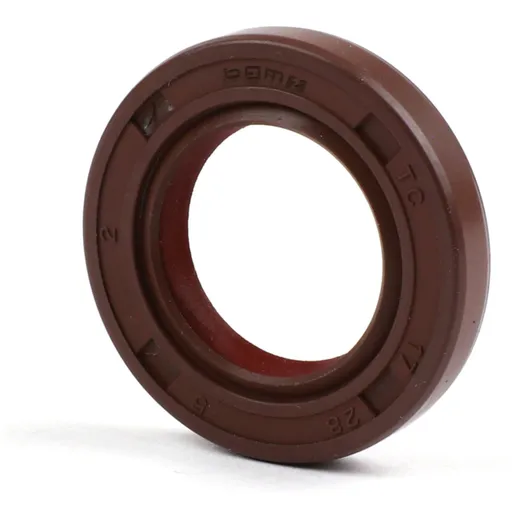 Oil seal 17x28x5mm -BGM PRO Rulon® (E10/etahnol resistant)- _3
