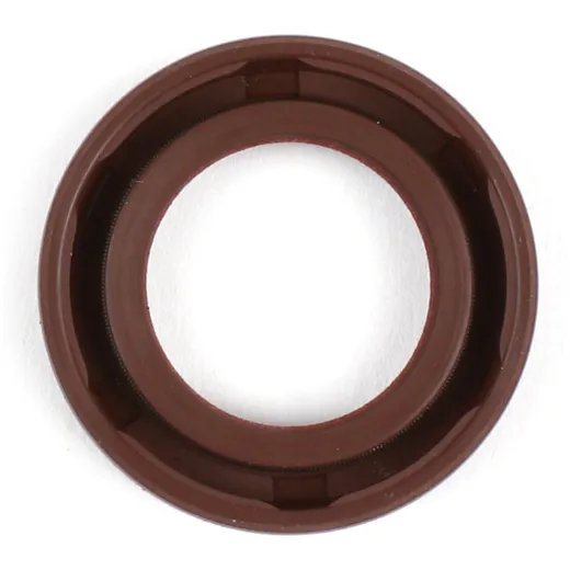 Oil seal 17x28x5mm -BGM PRO Rulon® (E10/etahnol resistant)- _1