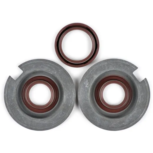Wellendichtringsatz Motor BGM PRO, FKM/Viton® (E10 beständig_1