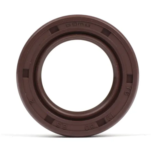 Oil seal 19x30x6,5mm -BGM PRO FKM/Viton® (E10/etahnol resist_1