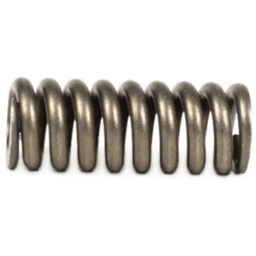 Spring for primary gear -BGM PRO- Vespa PX, Cosa, T5 125cc, _3