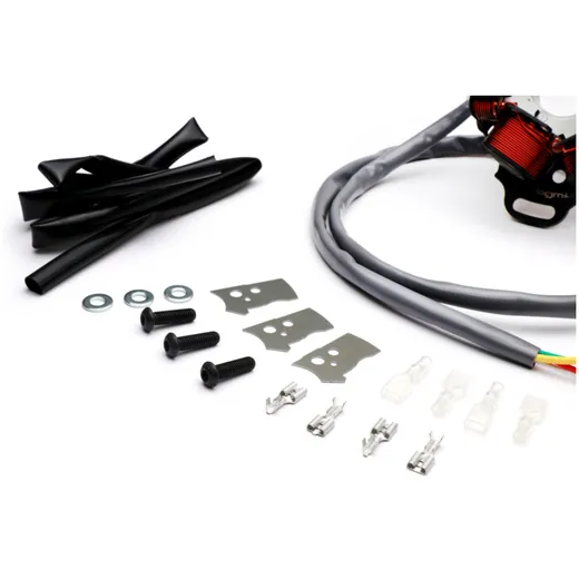 ignition BGM PRO V4.5 silicone AC electronic ignition for La_2