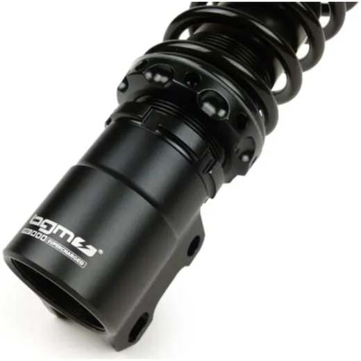 Stoßdämpfer vorne BGM PRO SC/F1 SPORT, schwarz, 195mm + 205m_1
