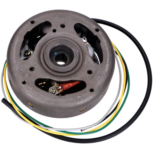 Zündung Komplett 6V/23W mit Bremslichtspule für Hercules, KTM, Kreidler, Puch Mofa 55065