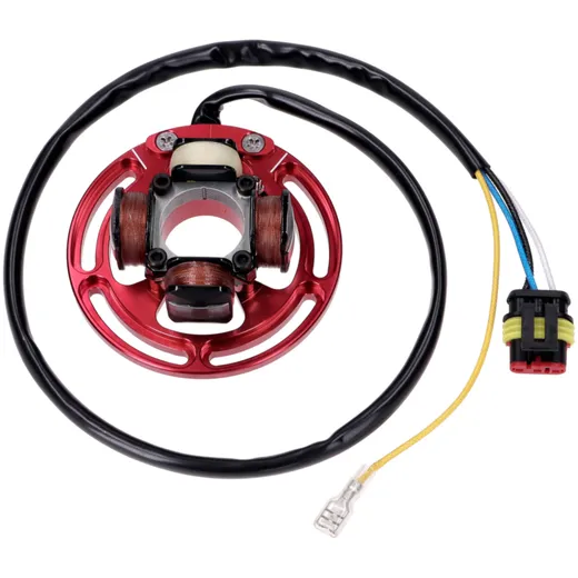 Zündung EVO swiing für Sachs 503 AB, AC, ADV 55198_1