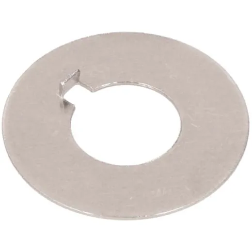 Sicherungsblech swiing Antriebsrad Inox für Sachs 50/2, 50/3, 50/4, 503 2AL/2BL 55365