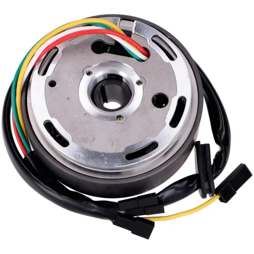 Lichtmaschine / Zündung Umrüstkit Elektronik Kontaktlos 12V _2