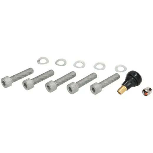montage set BGM PRO 13 inch for front wheel Vespa GTS BGM7660MKTF
