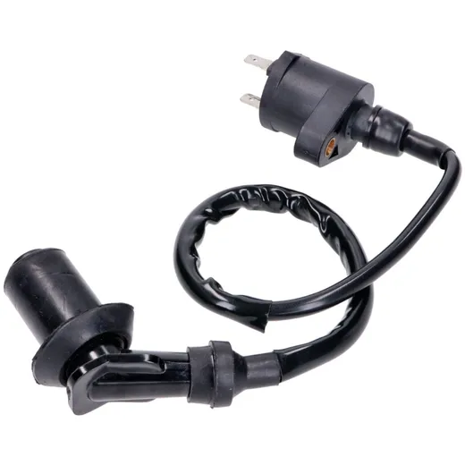 Zündspule mit Kerzenstecker BT22001_1