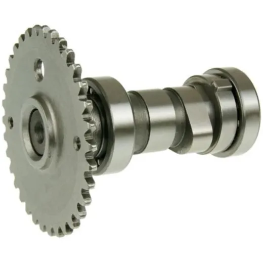 camshaft for GY6 125/150cc GY14659 camshaft for GY6 125/150cc GY14659