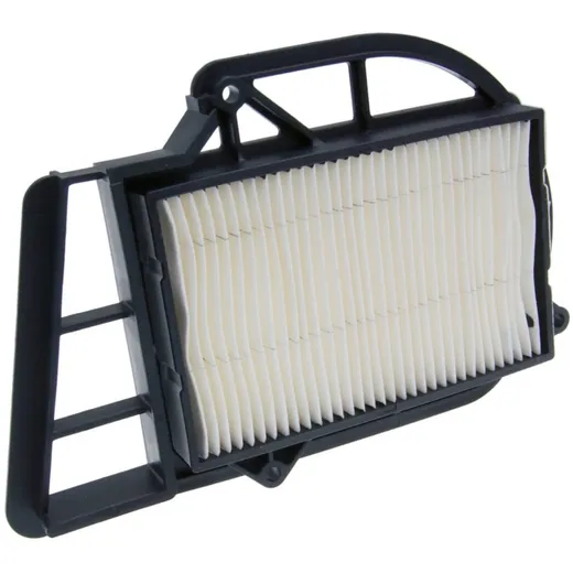 Variator Luftfilter Einsatz Variomatik für Benelli Velvet, Italjet Jupiter, Malaguti Madison, MBK Skyliner, Yamaha Majesty 250 I
