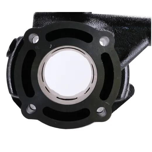 Zylinderkit 50ccm für Peugeot Speedfight 3/4 LC, Jet Force C_2