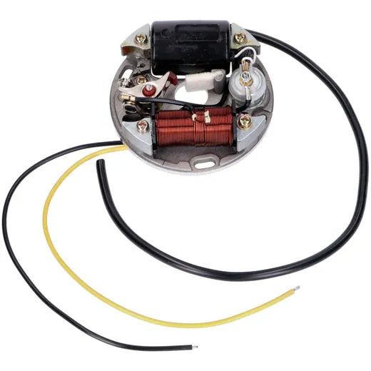 Lichtmaschine Stator Unterbrecher 6V 17W für Puch Maxi E50, Z50, ZA50, Sachs, Hercules, Zündapp IP43592