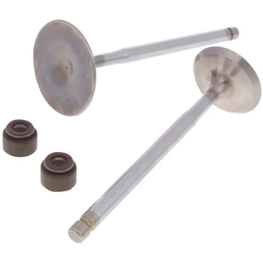 intake / exhaust valve set Malossi racing for Aprilia, Malaguti, MBK, Yamaha Maxi Scooter M.2711824 intake / exhaust valve set Malossi racing for Aprilia, Malaguti, MBK, Yamaha Maxi Scooter M.2711824