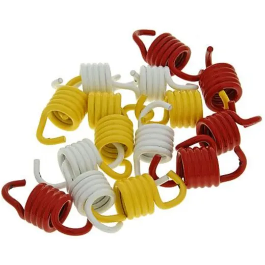 Kupplungsfedern Set Malossi Racing für Honda Silver Wing, SW-T, Kymco Xciting M.2912553