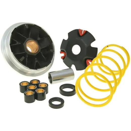 Variator Variomatik Malossi Multivar für Suzuki (99-) M.5111298 Variator Variomatik Malossi Multivar für Suzuki (99-) M.5111298
