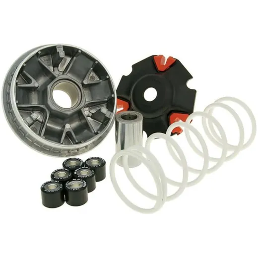 Variator Variomatik Malossi Multivar 2000 für Honda, Keeway M.5111572