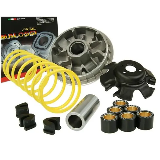 Variator Variomatik Malossi Multivar 2000 für Kymco 250ccm M.5111838 Variator Variomatik Malossi Multivar 2000 für Kymco 250ccm M.5111838