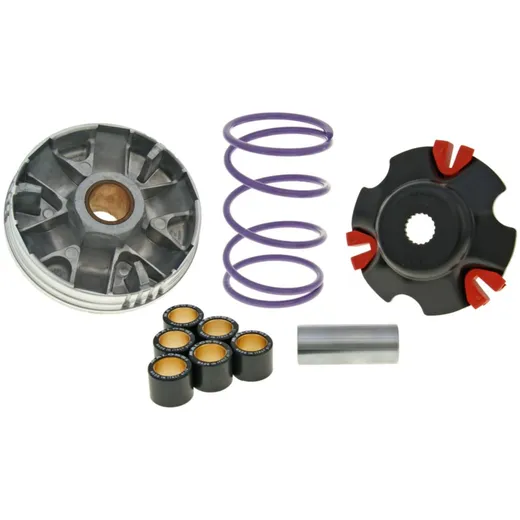 Variator Variomatik Malossi Multivar 2000 für Aprilia, Piaggio 100ccm 4-Takt M.5112024 Variator Variomatik Malossi Multivar 2000 für Aprilia, Piaggio 100ccm 4-Takt M.5112024