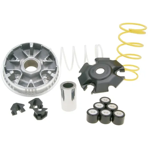 Variator Variomatik Malossi Multivar 2000 für Piaggio Fly, Liberty, Vespa Primavera, Sprint 125ie, 150ie 3V M.5116674 Variator Variomatik Malossi Multivar 2000 für Piaggio Fly, Liberty, Vespa Primavera, Sprint 125ie, 150ie 3V M.5116674