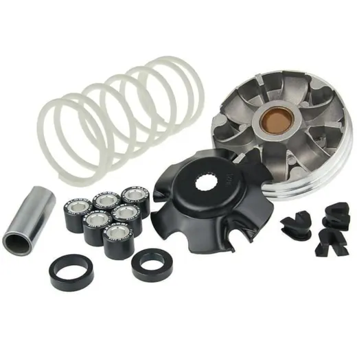 Variator Variomatik Malossi Multivar 2000 für Piaggio (98-) M.519019