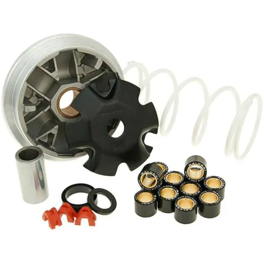 Variator Variomatik Malossi Multivar für Suzuki Street Magic M.519994 Variator Variomatik Malossi Multivar für Suzuki Street Magic M.519994