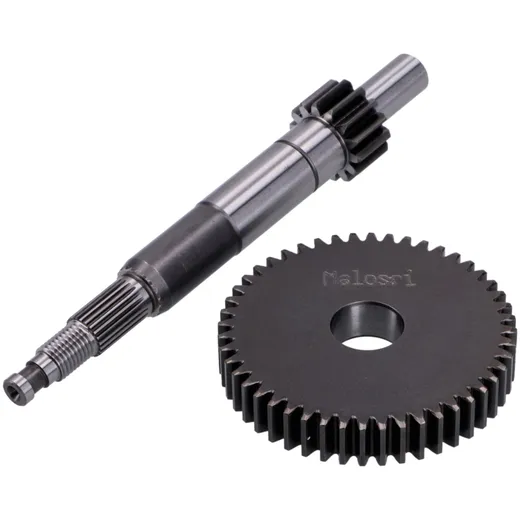 Getriebe Primär Malossi HTQ 14/48 für Piaggio TPH, Derbi Variant, Aprilia SR Motard, Scarabeo, Gilera DNA M.6711602 Getriebe Primär Malossi HTQ 14/48 für Piaggio TPH, Derbi Variant, Aprilia SR Motard, Scarabeo, Gilera DNA M.6711602