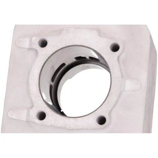 Zylinderkit Malossi Aluminium Sport 172ccm 65mm mit Zylinder_1