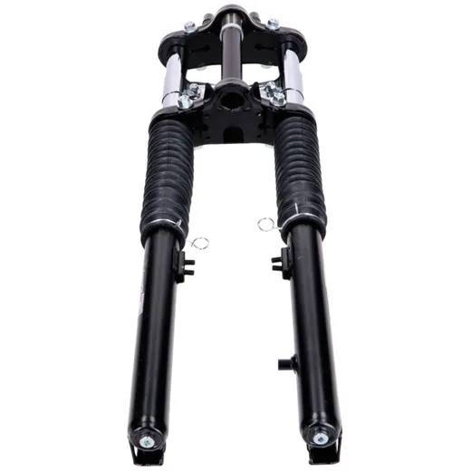 Gabel mit Schutzblechhalter EBR für Hercules Prima MX 1, Sac_2