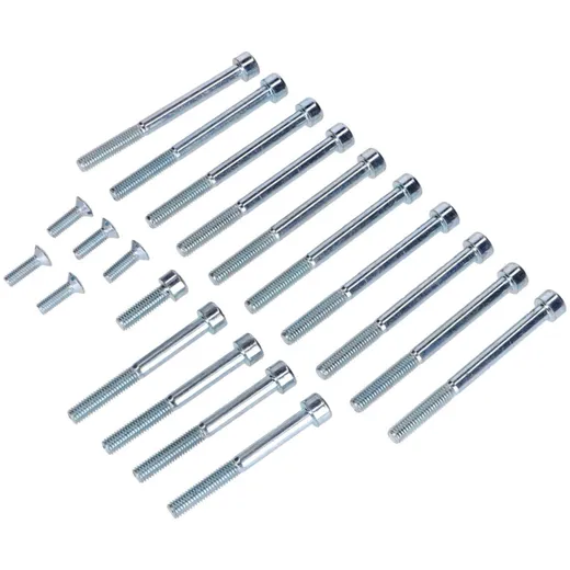 Galvanized 20-piece engine bolt set for Hercules Prima, Sachs 505/2 AK S, SF, A NL, B, C, CK, D, DK, DKW, KTM, Rixe MG00062283
