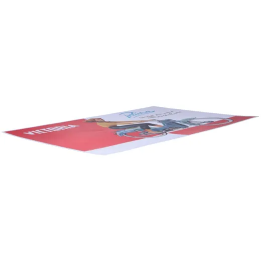 Werbeplakat Preciosa 50er Jahre für Victoria Moped MG0008645_2