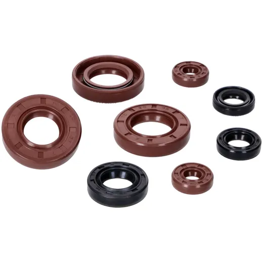 engine oil seal set Naraku VTS Premium for Piaggio / Derbi D50B0 NK103.37