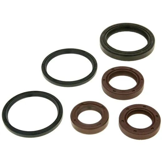 engine oil seal set for Aprilia, Gilera, Piaggio, Vespa Maxi NK167.04