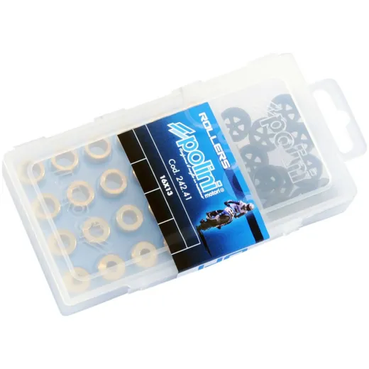 variator weights adjustment set Polini 16x13mm - 3.5-5.0g P.11107
