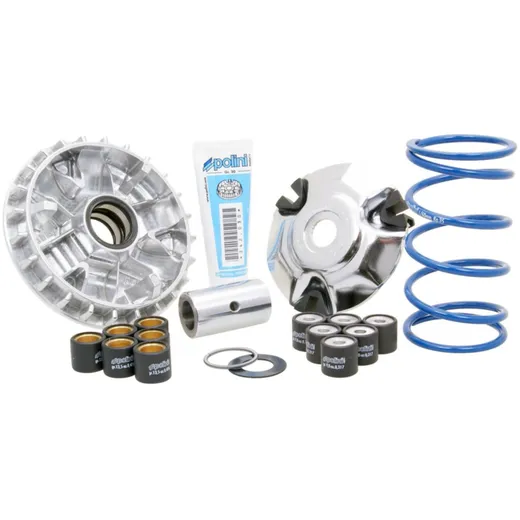 Variator Variomatik Polini Maxi Hi-Speed für Piaggio Fly, Liberty, Vespa Primavera, Sprint 125ie, 150ie 3V P.33245 Variator Variomatik Polini Maxi Hi-Speed für Piaggio Fly, Liberty, Vespa Primavera, Sprint 125ie, 150ie 3V P.33245
