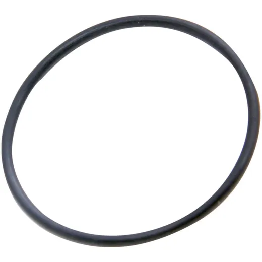 Dichtring O-Ring Ölpumpe OEM PI-311163