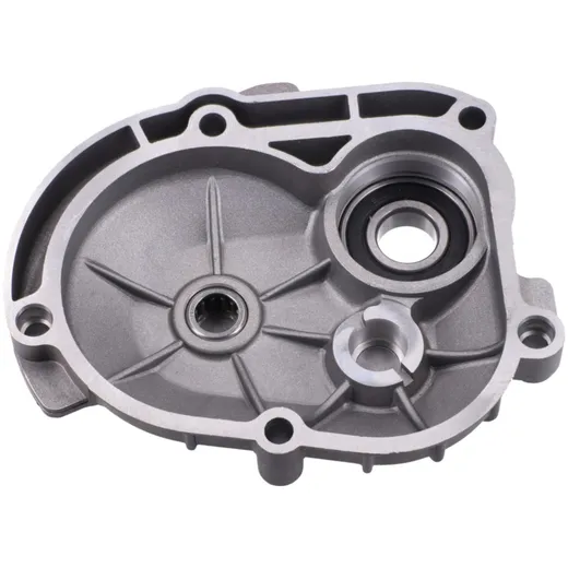 Getriebedeckel OEM für Piaggio 50 2-Takt PI-4354216_1
