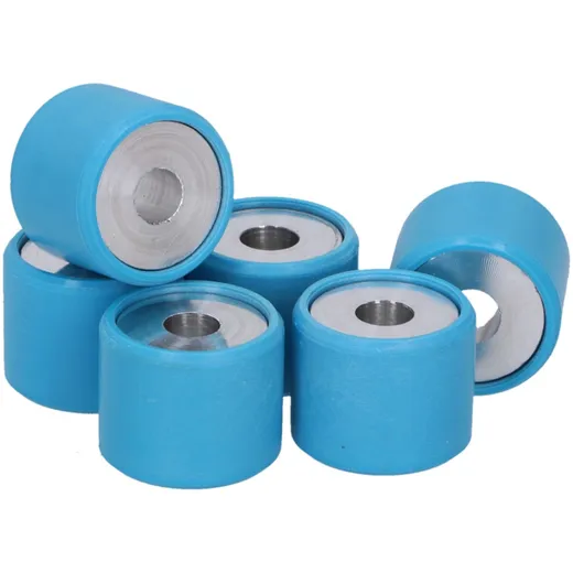 variator weights OEM original variator 21x17 - 10.60g - 6 pcs PI-4857135