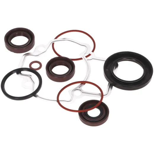 engine gasket set OEM for Aprilia Scarabeo, Gilera Stalker, Piaggio Liberty, Fly 50cc 2-stroke PI-494579