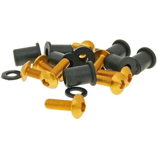 Aluschrauben Muttern Set M5x16 gold - 8 Stück VC21209 Aluschrauben Muttern Set M5x16 gold - 8 Stück VC21209